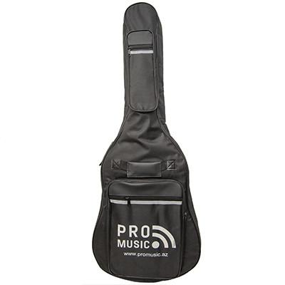 Promusic BGF615 (For electric guitar)