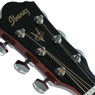 Ibanez V50NJP