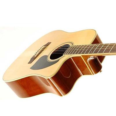 Ibanez PF15ECE-NT