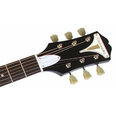 Epiphone Pro-1Nat