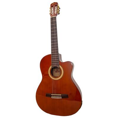 Winzz AC309CE Electro-Classic