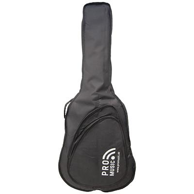 Promusic BGG610 (Akustik)