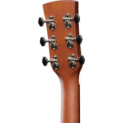 Ibanez PF12MH OPN
