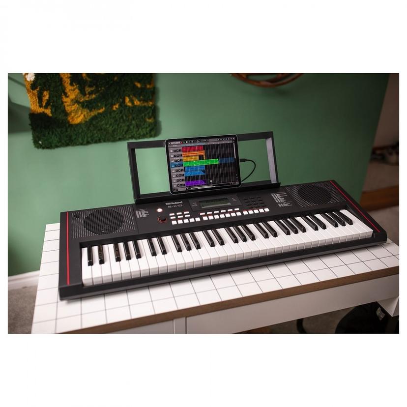 Roland E-X10