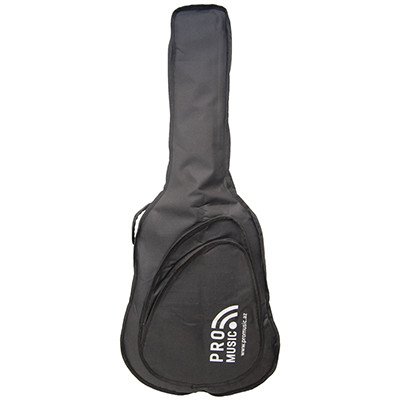 Promusic BGG610 (Acoustic)