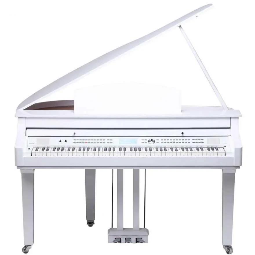 Medeli Grand 510 GW