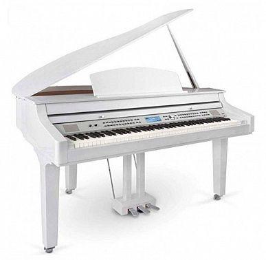 Medeli Grand 510 GW