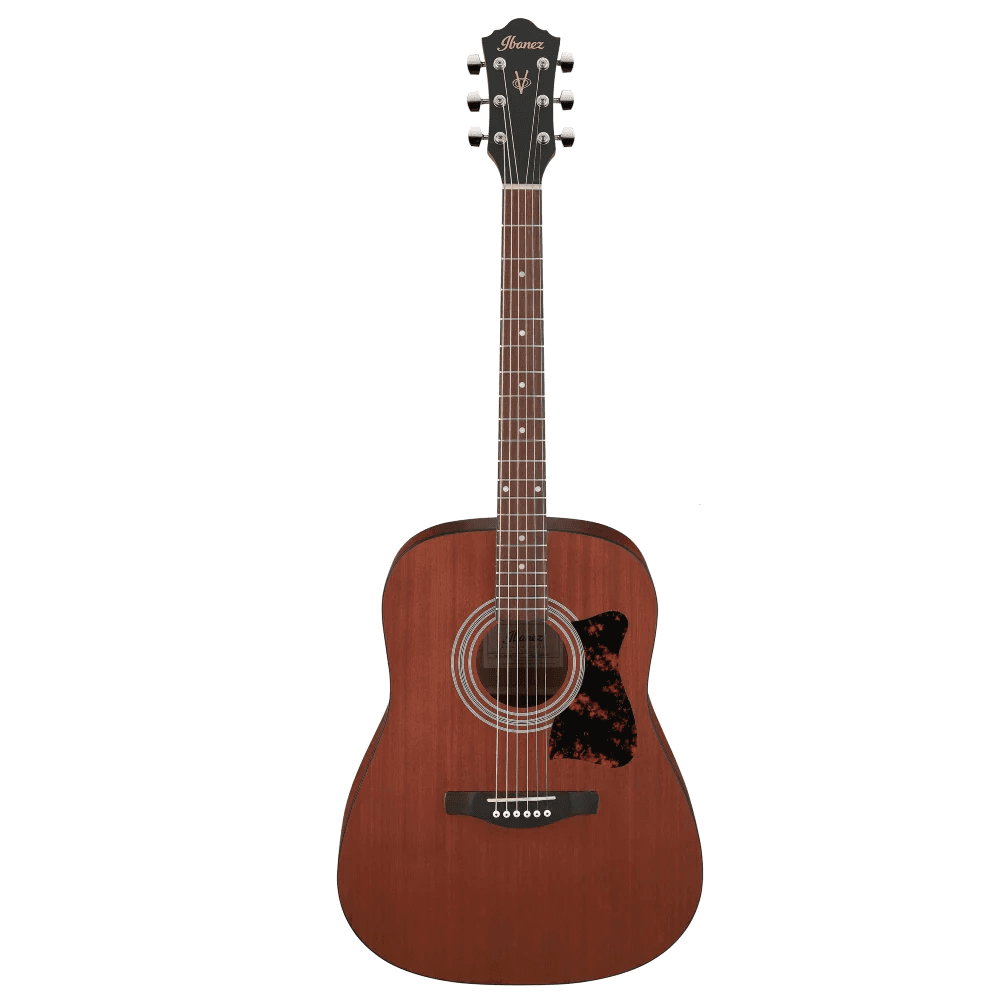 Ibanez V54NJP-OPN