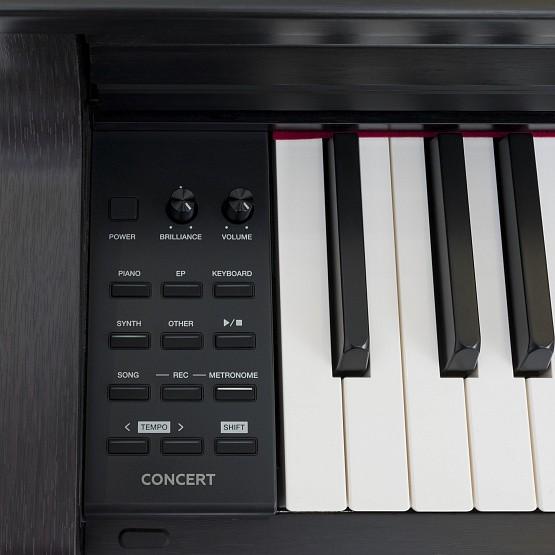 ROCKDALE Concert Rosewood