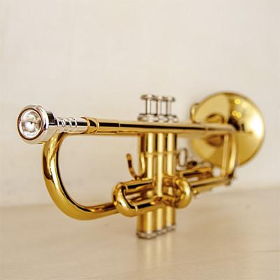 Trampet TP8001G