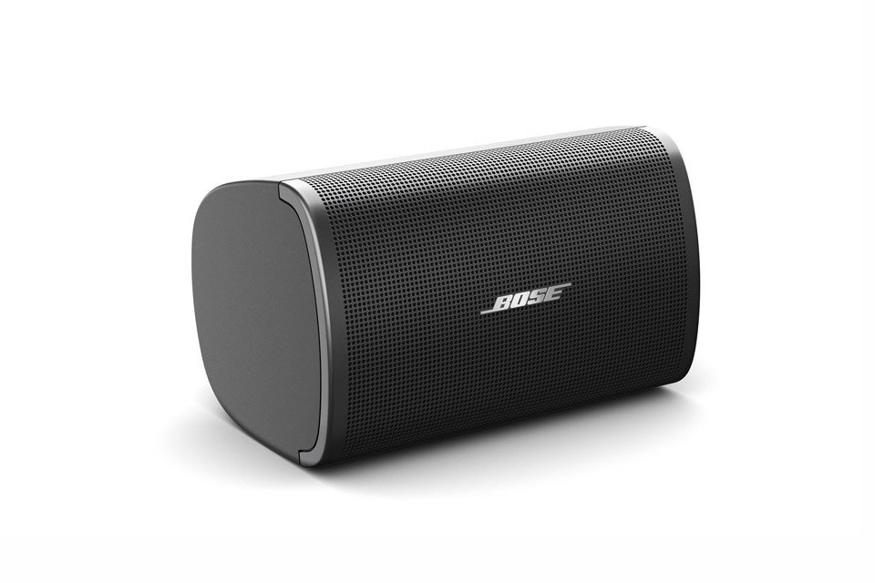 Bose DesignMax DM2S