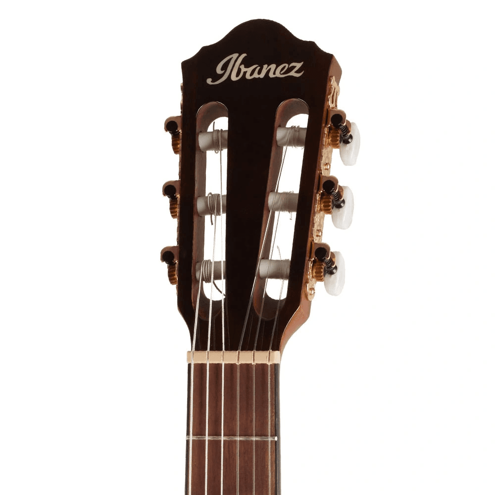 Ibanez AEG50N-NT