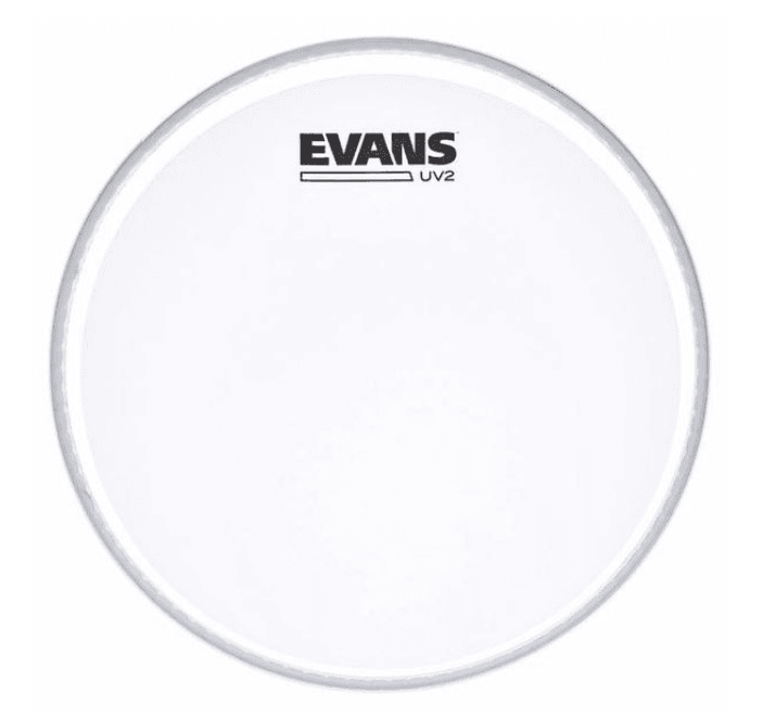 Evans B10UV2