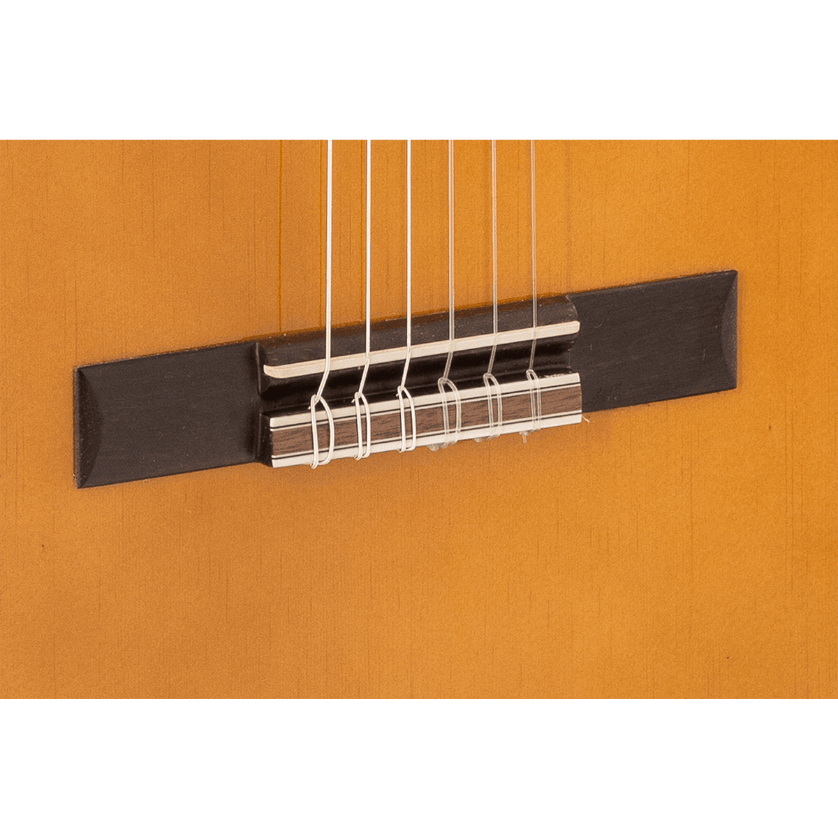 Admira Rosario klassik gitara