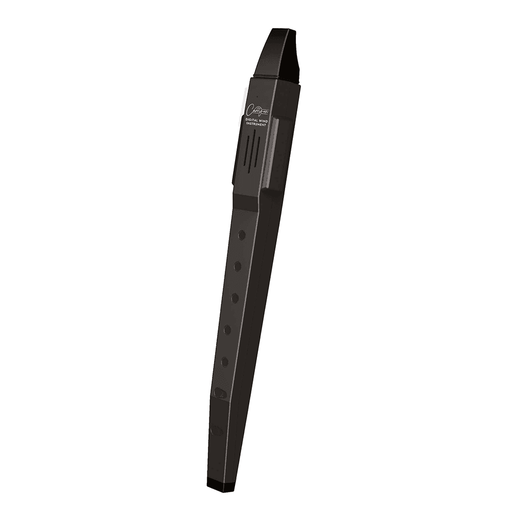Carry-on Digital Wind Instrument Black