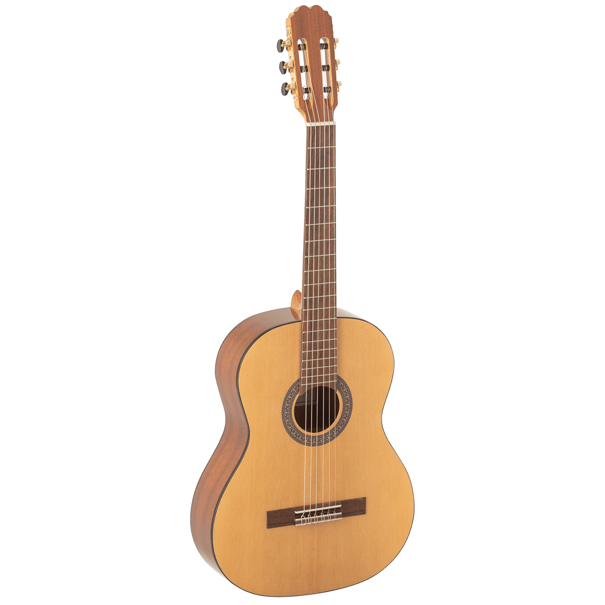 Admira Elsa klassik gitara
