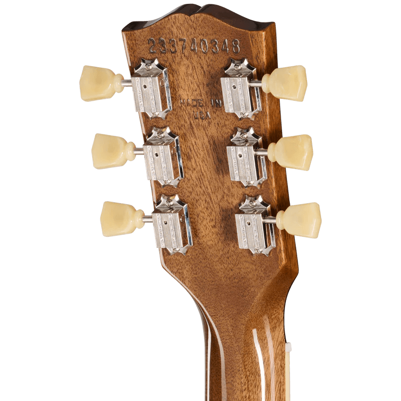 Gibson Les Paul Standard 50s Double Trouble, Vintage Bourbon Burst(LPS5DCW25VUNH1)