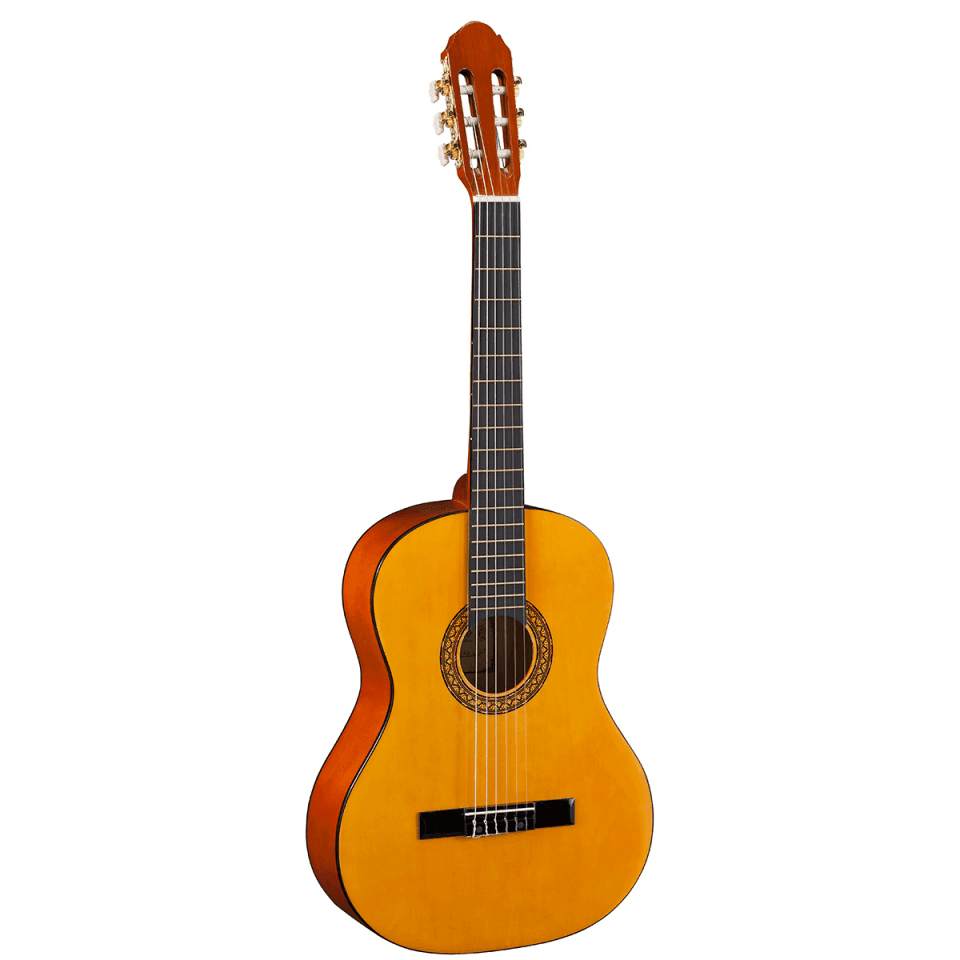Soundsation Toledo Marisol 44NT with bag