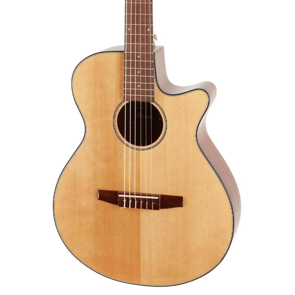 Ibanez AEG50N-NT