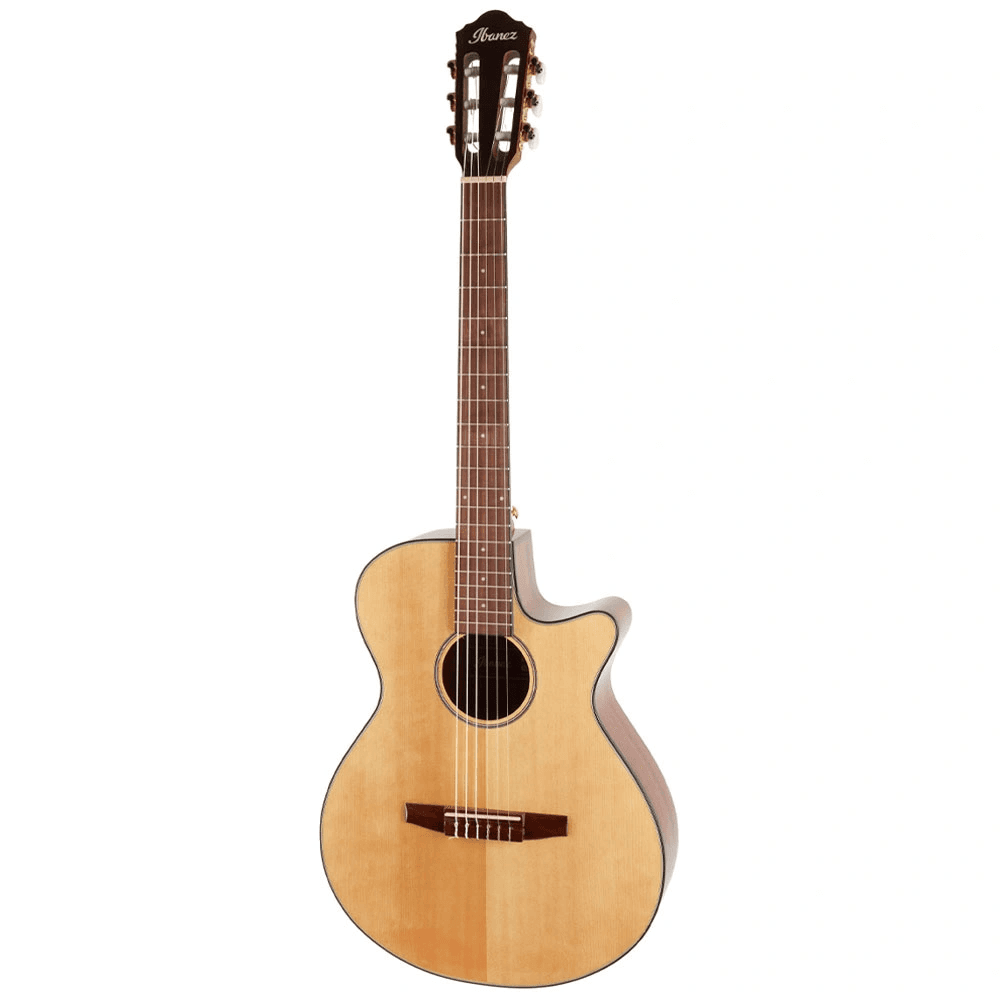 Ibanez AEG50N-NT
