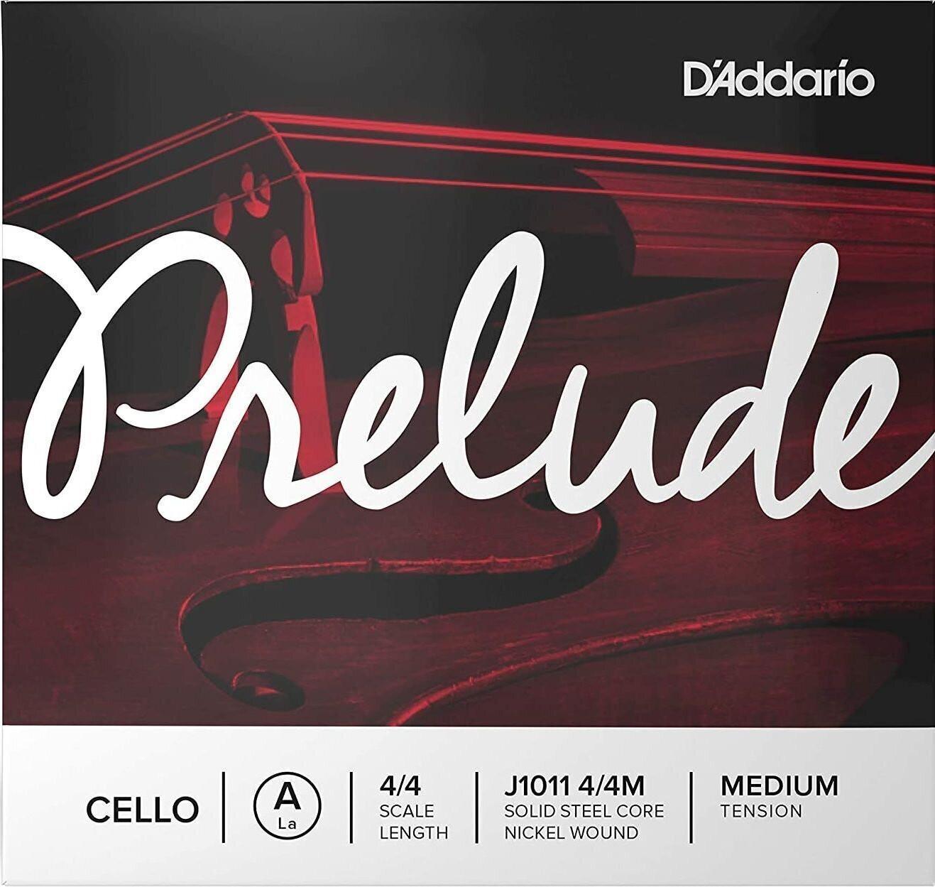 Daddario J1011 4/4M La Cello
